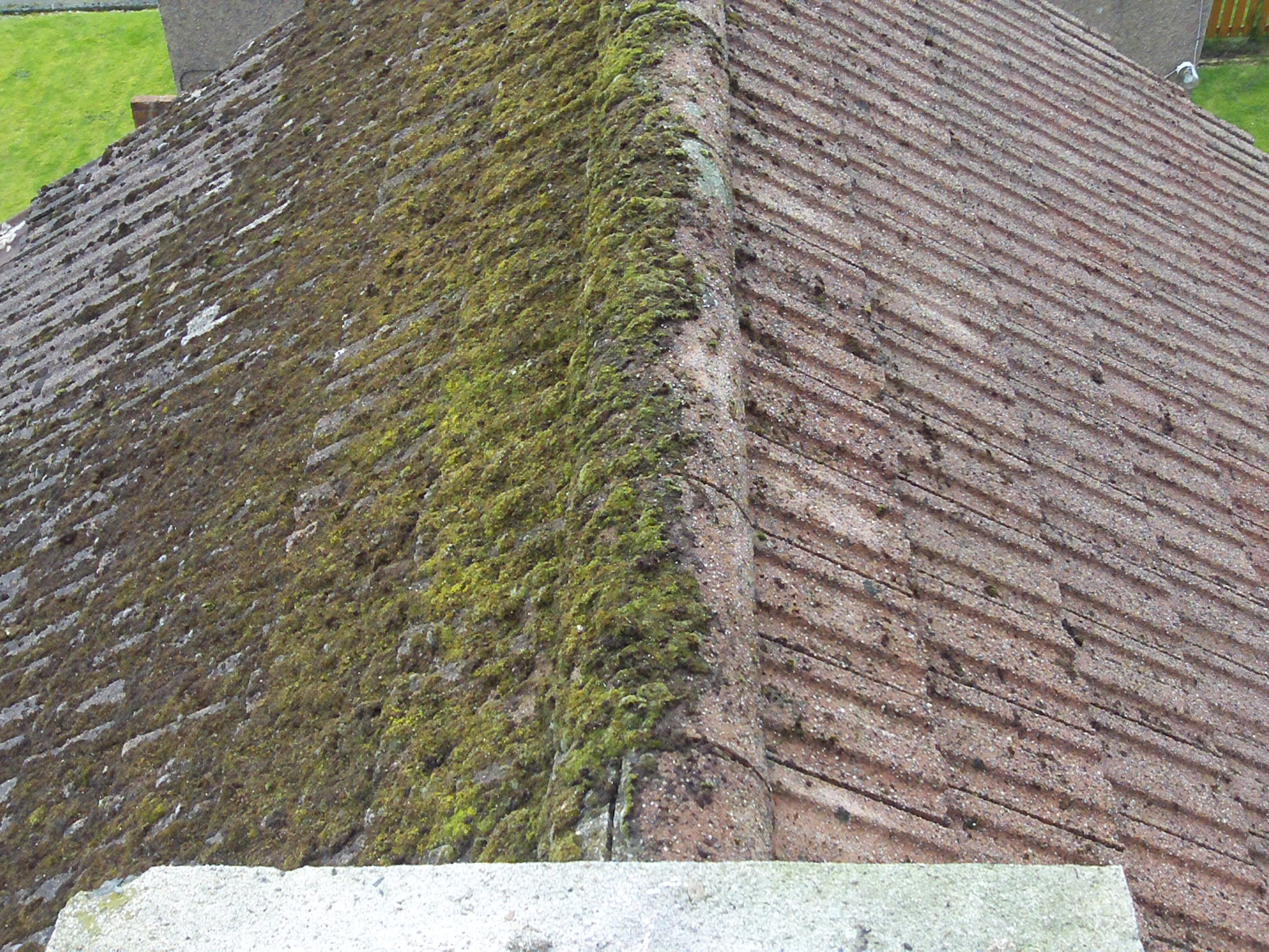 Roof Moss Removal Property Cleaning Maintenance